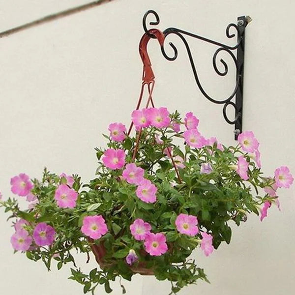 Iron Wall Hanging Stand For Plant